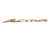 Tank Monogram Logo 3D Emblem in Chrome 2 Pcs for Activa Gold