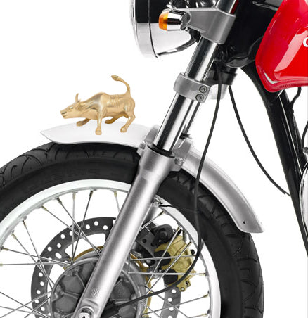 Different Pics Of Front Mudguard Number Plate Of Royal Enfield