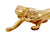 Brass Logo Standing Lion Emblem For Royal Enfield All Models