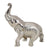 Bike Decorative Chrome Front Mudguard Elephant